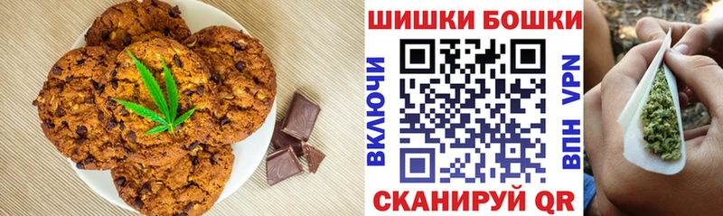 Купить где  Лесосибирск  Canna-Cookies конопля 