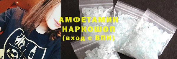индика Заводоуковск