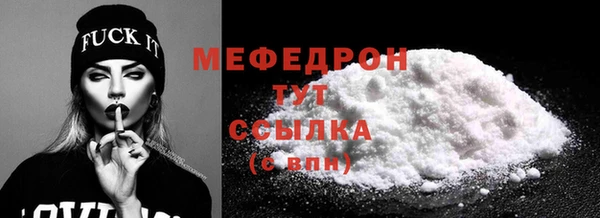 индика Заводоуковск