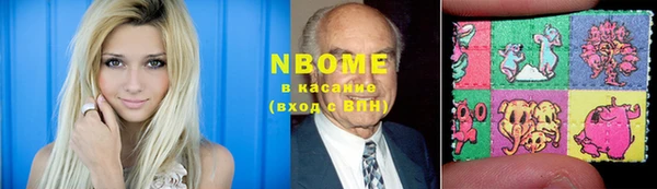 индика Заводоуковск