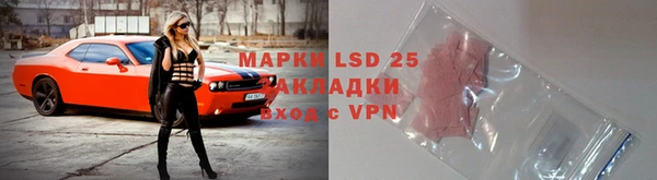 индика Заводоуковск