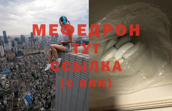 индика Заводоуковск