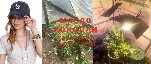 индика Заводоуковск