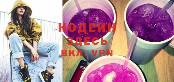 индика Заводоуковск