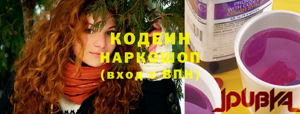 индика Заводоуковск