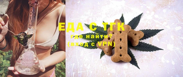 индика Заводоуковск