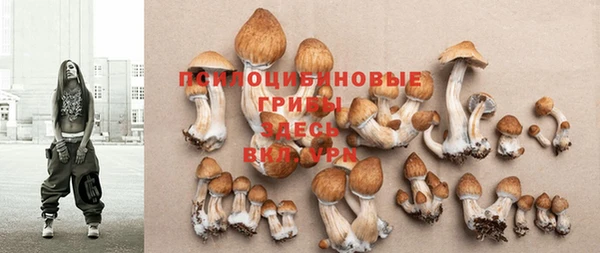 индика Заводоуковск